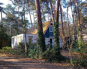 Verblijf 540131 • Vakantiewoning Vechtstreek • Huisje in Ommen 