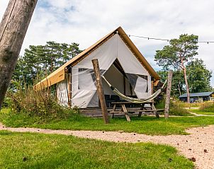 Genieen Sie die Ruhe und den Frieden im Glampingtent 4, einem stimmungsvollen Safarizelt in IJhorst, Nordwest Overijssel, mit Blick auf die grne Natur.