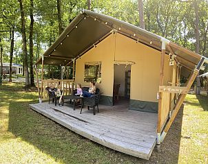 Guest house 570456 • Tent house Utrechtse Heuvelrug • Safaritent 6 persoons 