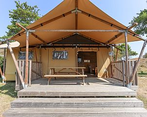 Guest house 620957 • Tent house Walcheren • Safaritent 6 