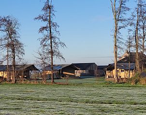 Glamping Franse Peer