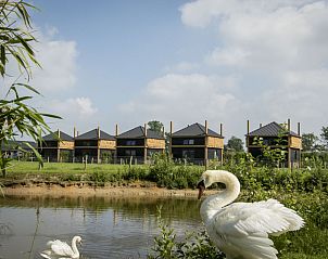 Camping Nieuw Romalo