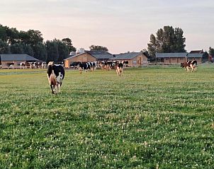 FarmCamps Kooij Hoeve