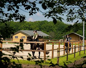 FarmCamps Holzik Stables