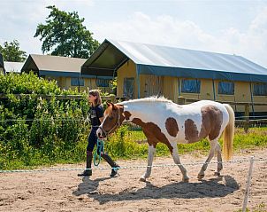 FarmCamps Fleur Stables